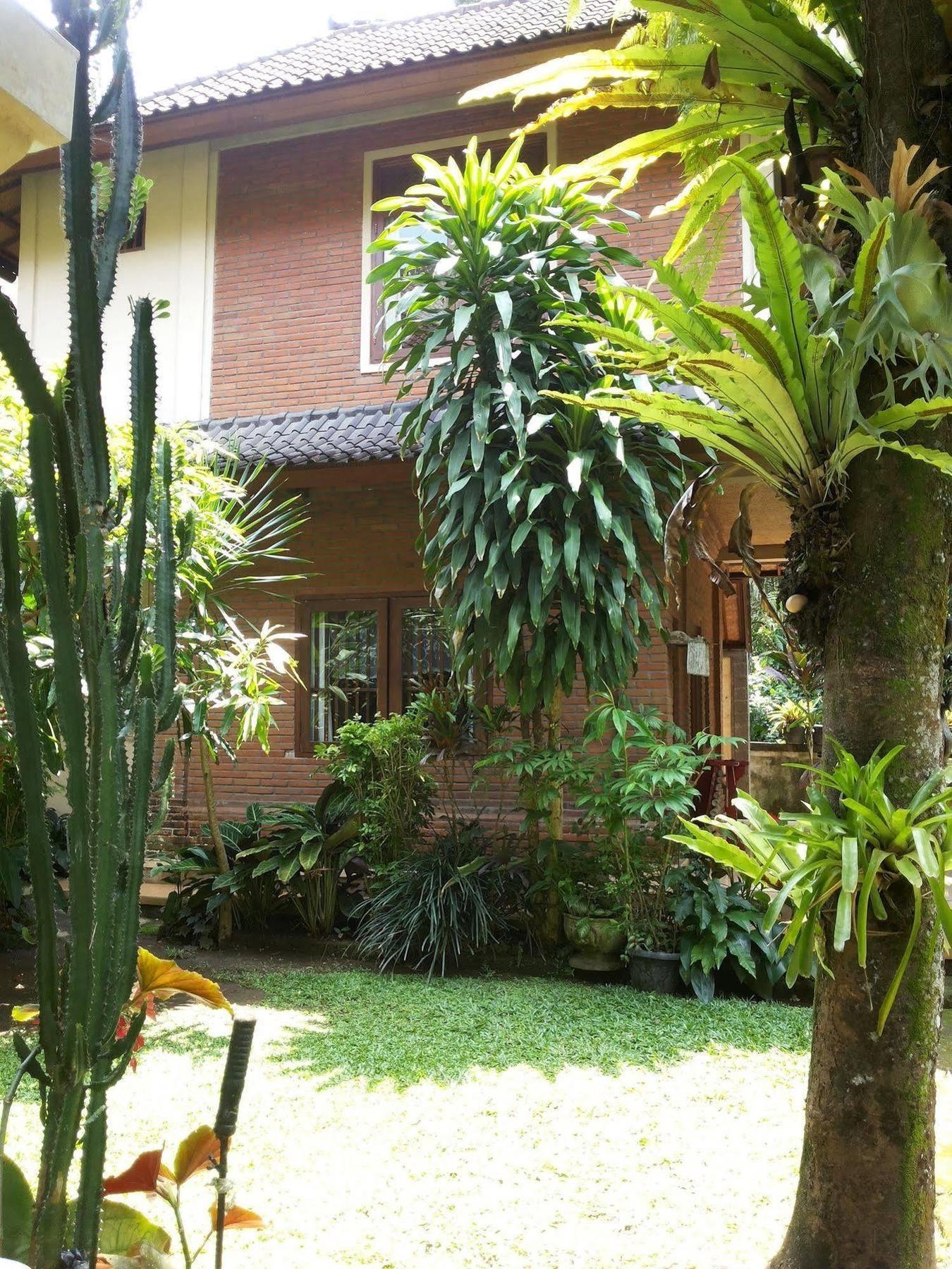 Ben'S Homestay Ubud Exterior foto