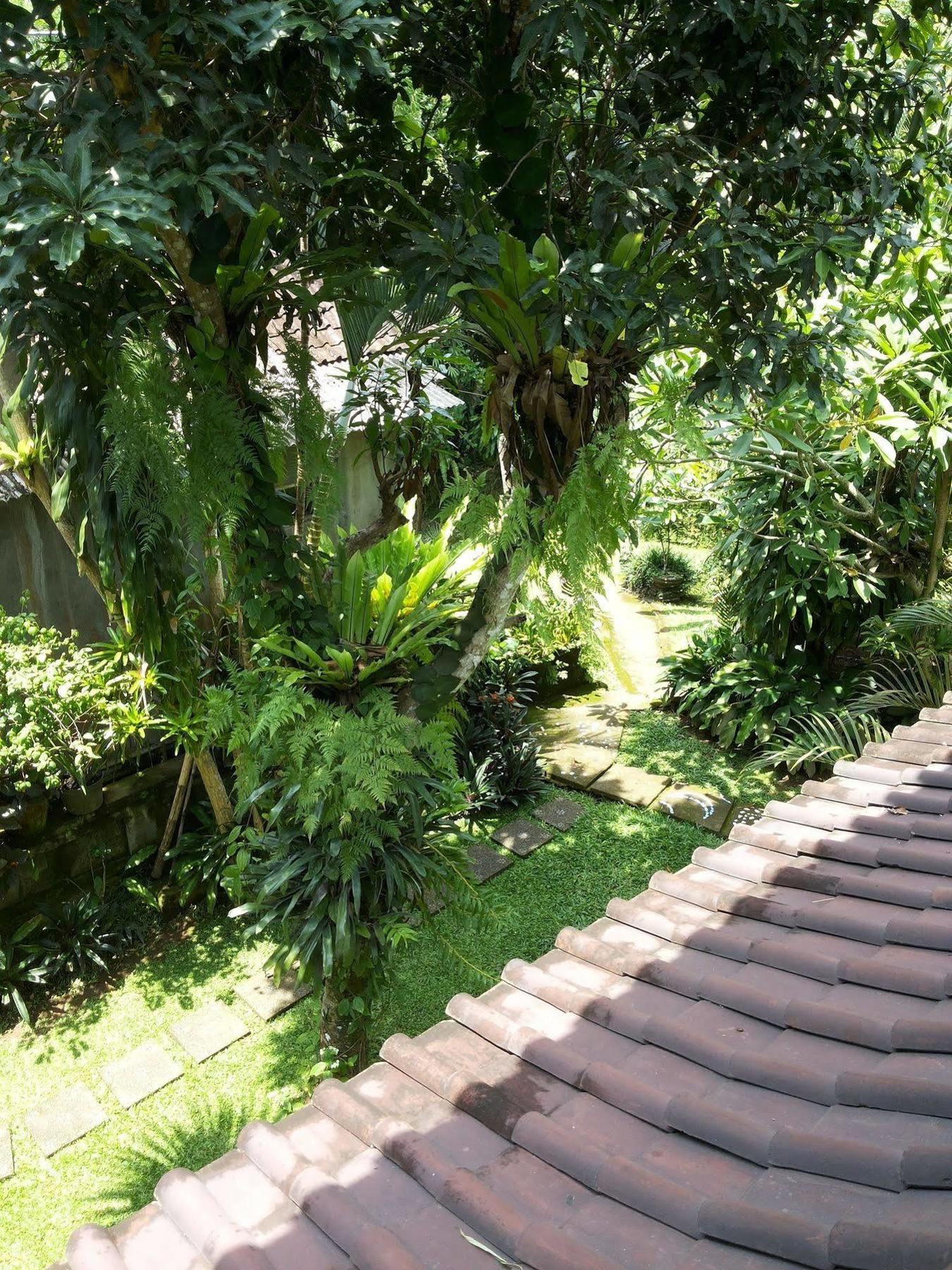 Ben'S Homestay Ubud Exterior foto